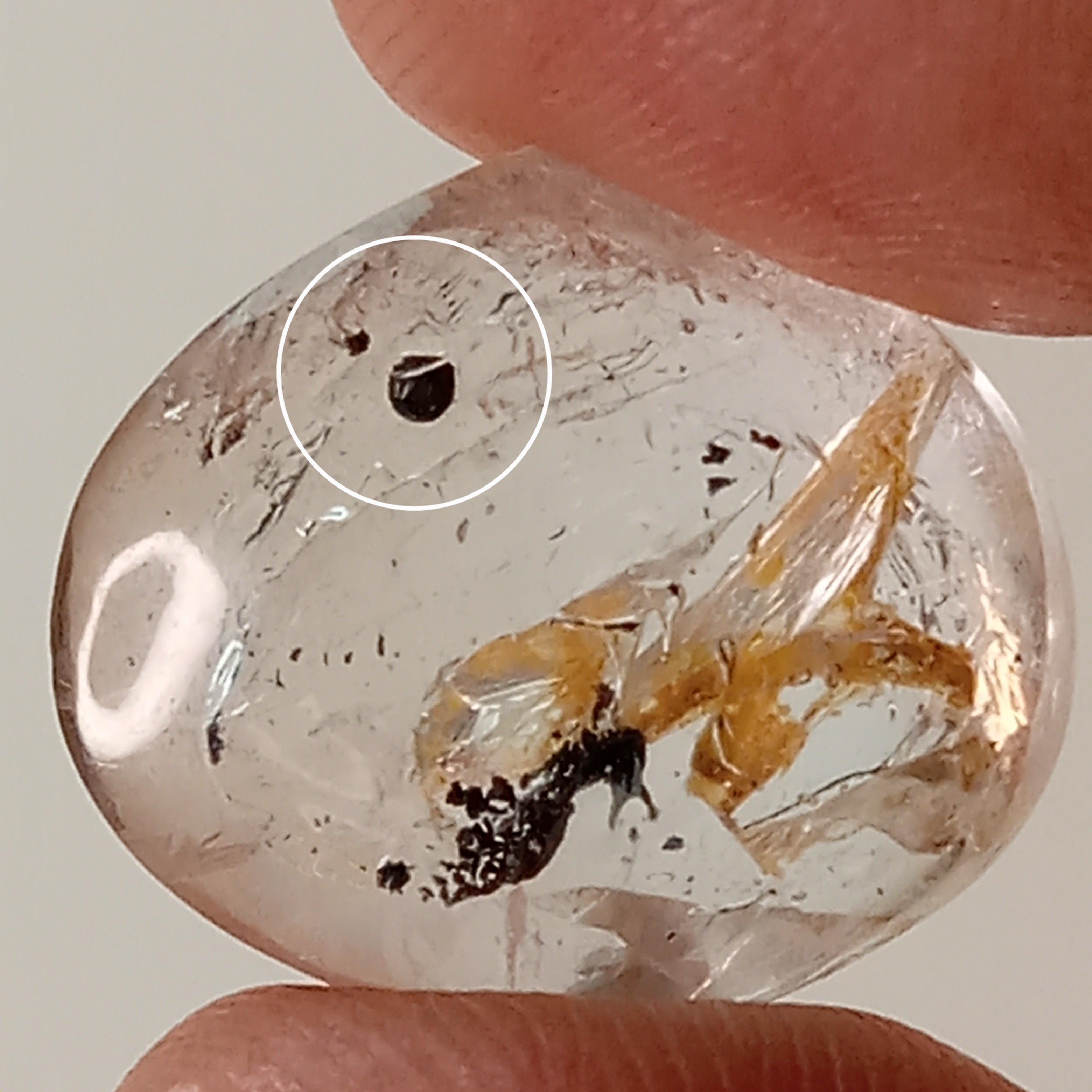 Clear Enhydro Quartz Teardrop with Moving Carbon Bubble and Floating Carbon Speck