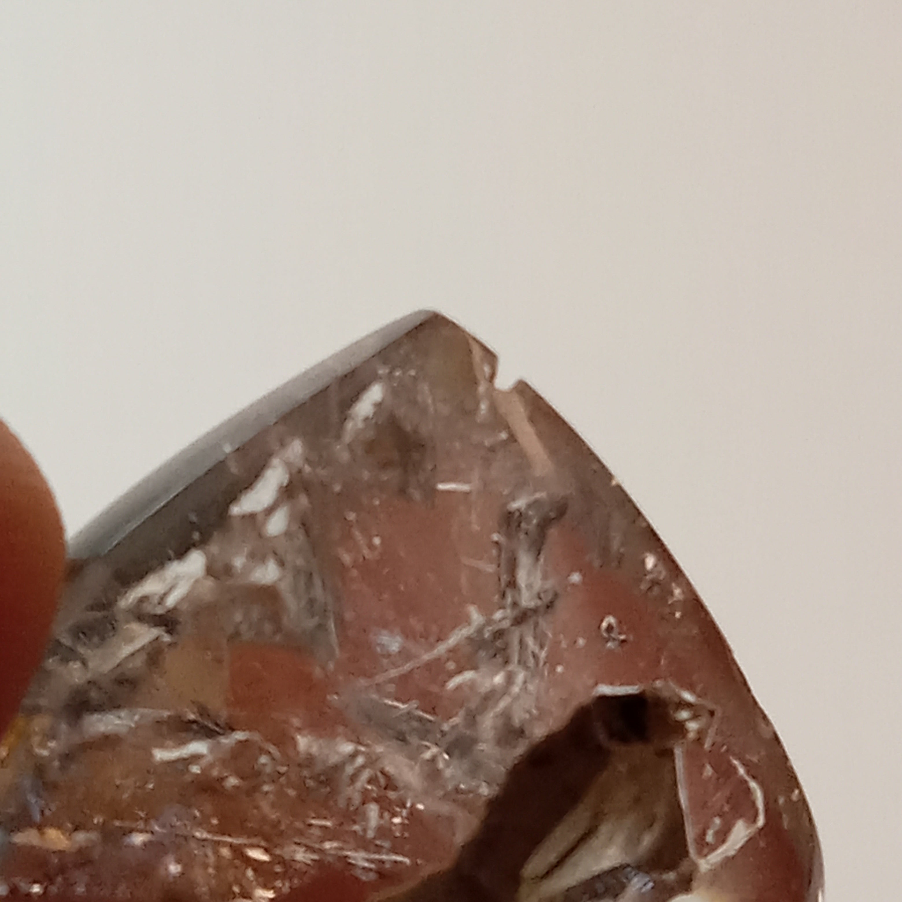Clear Enhydro Quartz Teardrop with Double Moving Bubbles