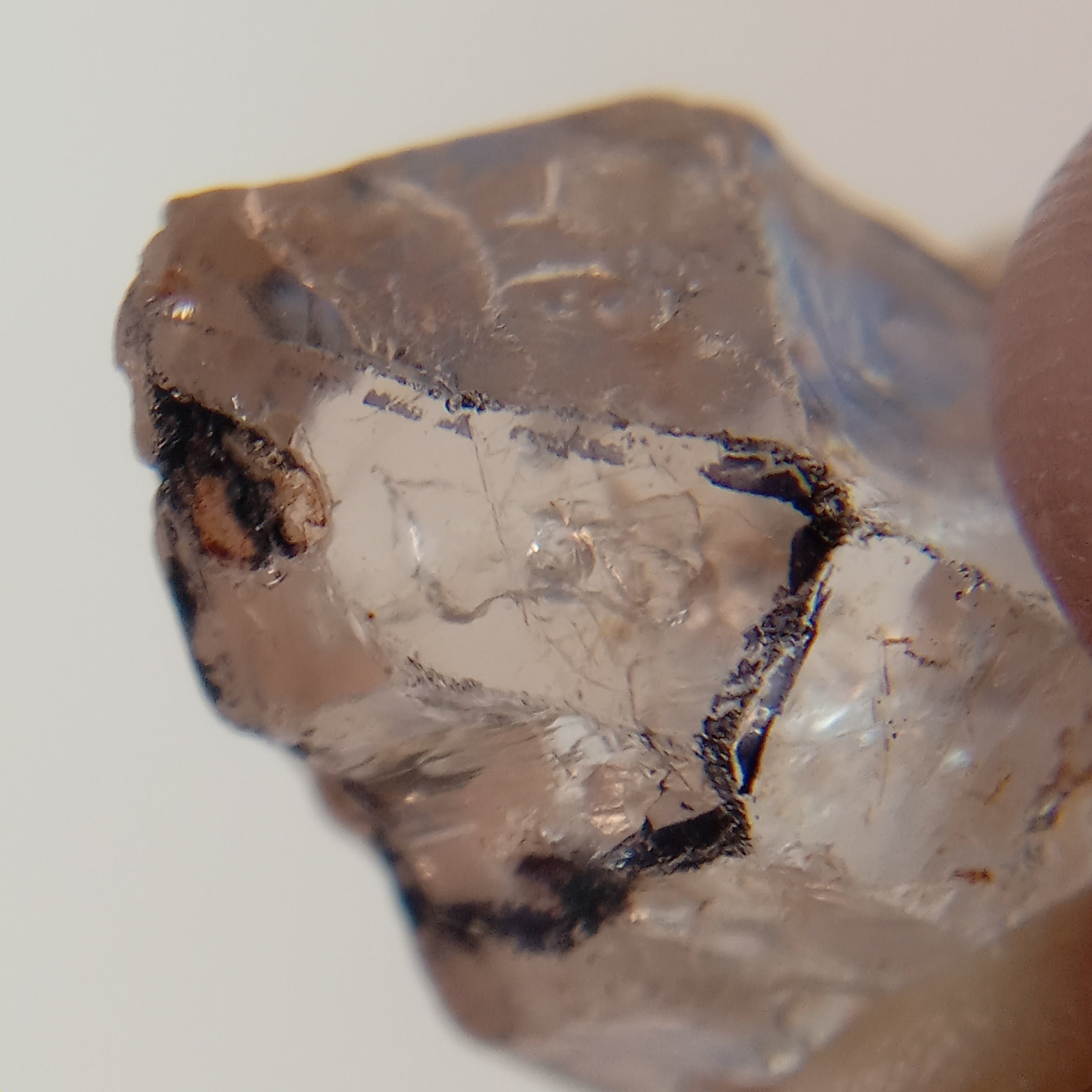Petroleum Enhydro Quartz with Microscopic Oil Bubble and Enhydro Bubble