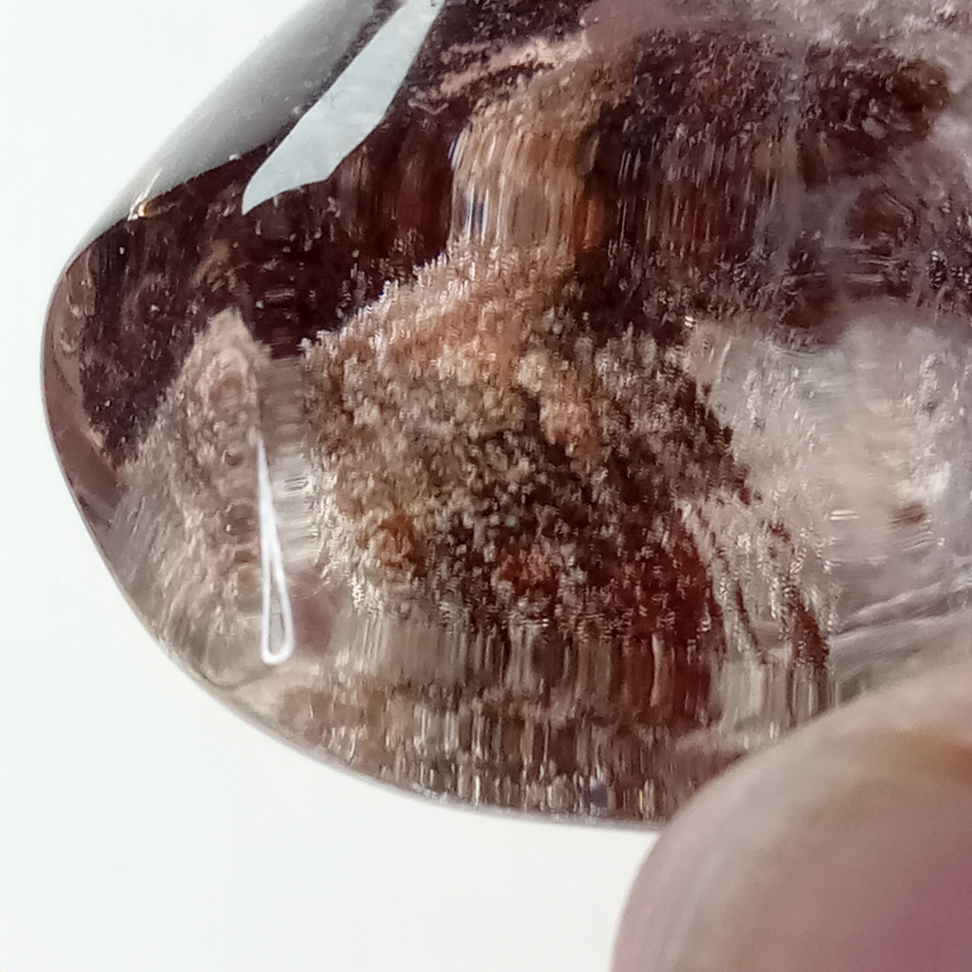 Garden Quartz Freeform with Scenic Landscape Formation