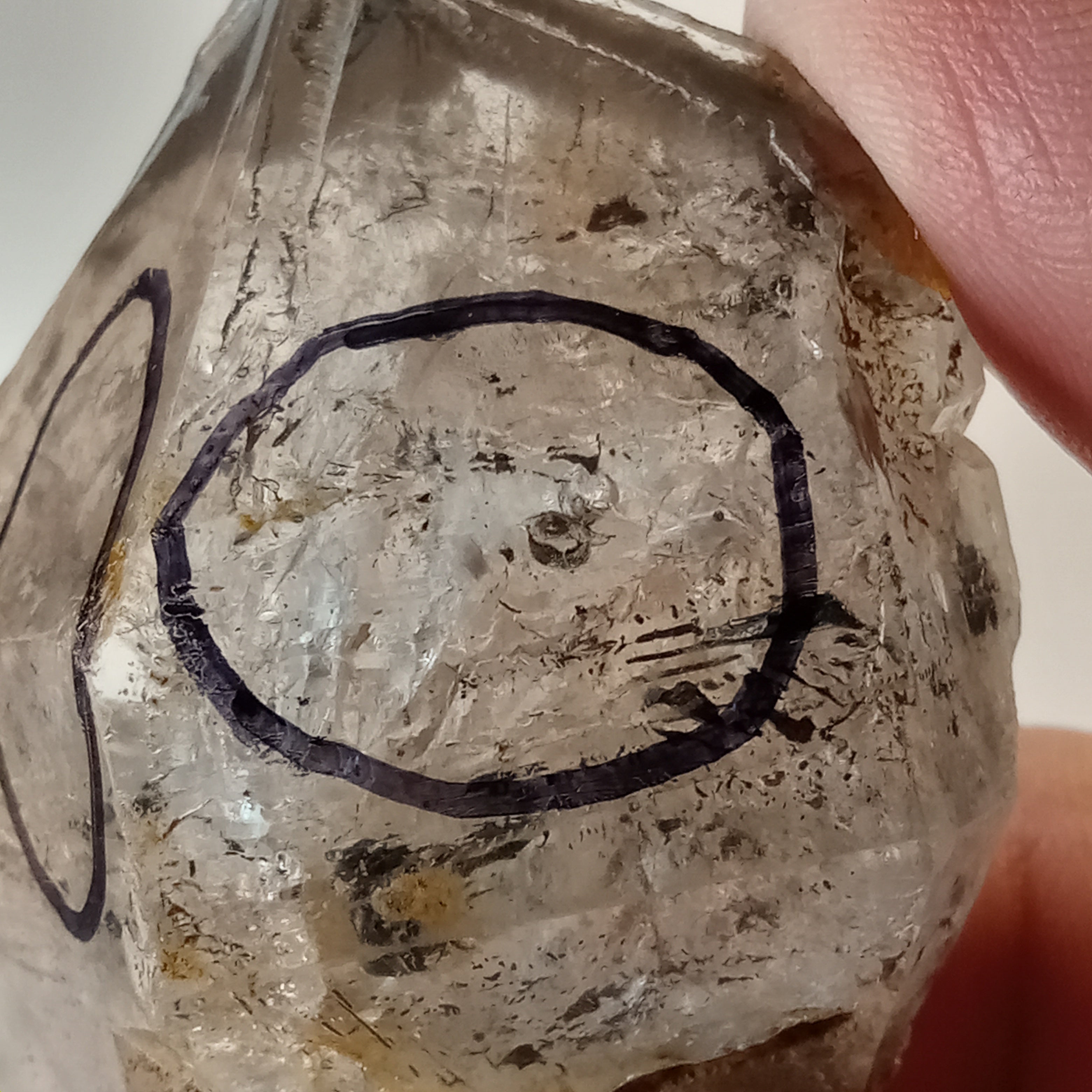 Raw Enhydro Quartz Crystal with Two Visible Moving Bubbles | Natural Double Enhydro Specimen