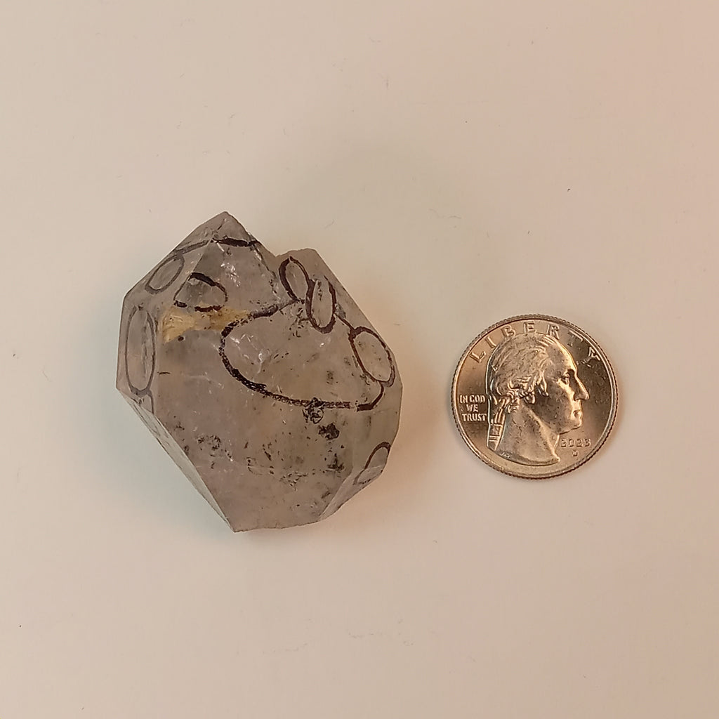 Raw Enhydro Quartz Crystal with 11 Visible Moving Inclusions | Collector Enhydro Specimen