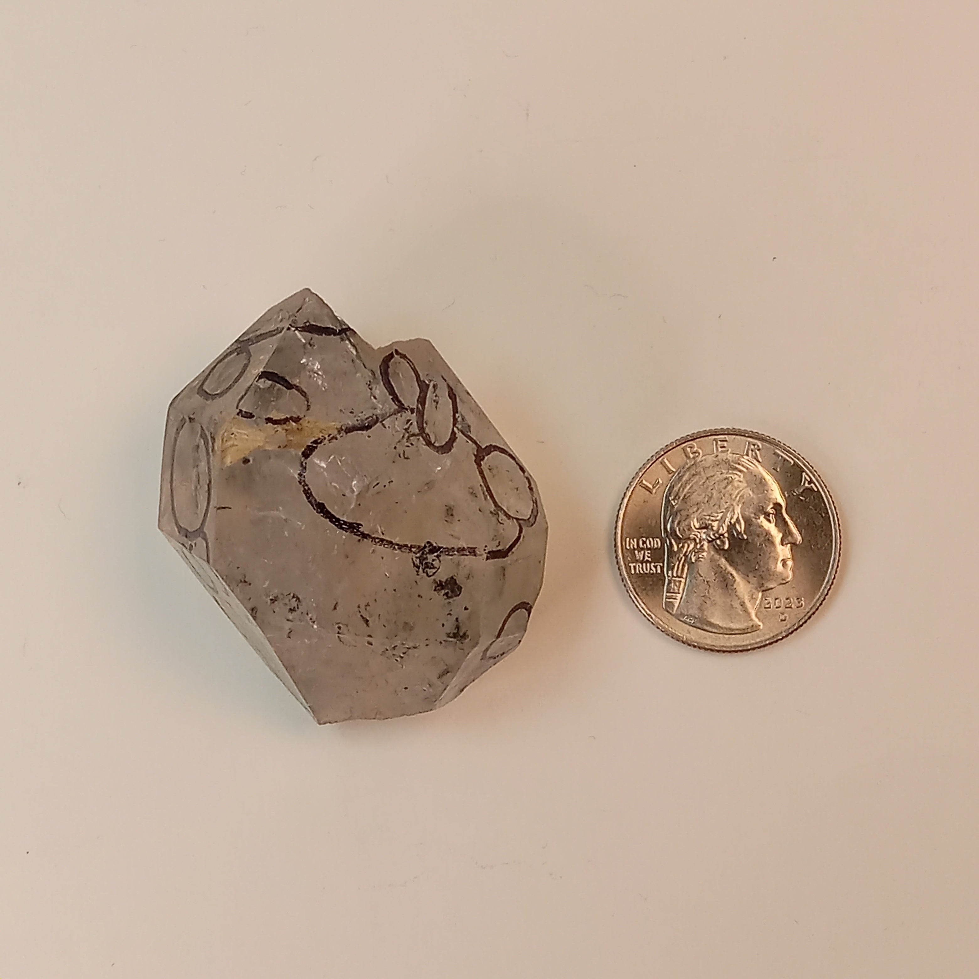 Raw Enhydro Quartz Crystal with 11 Visible Moving Inclusions | Collector Enhydro Specimen