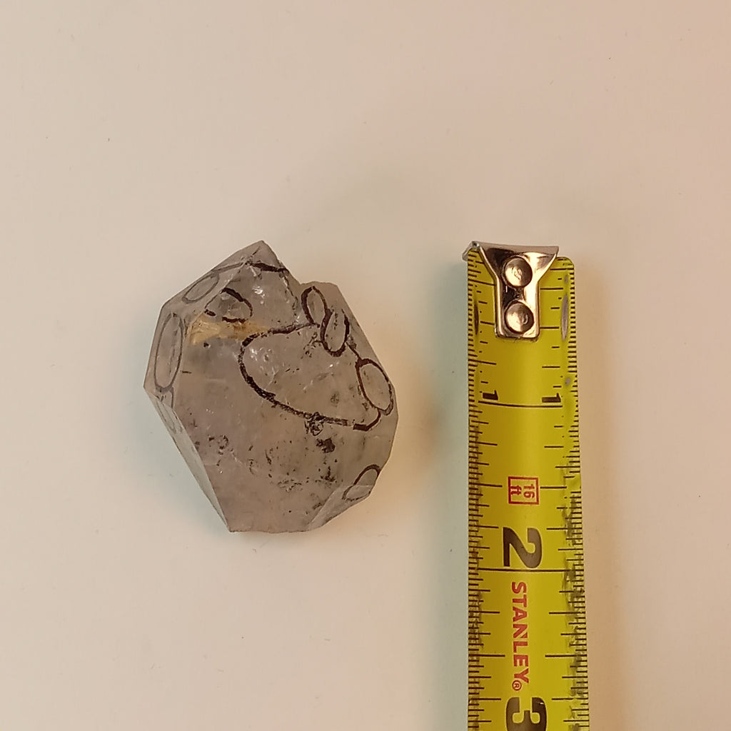 Raw Enhydro Quartz Crystal with 11 Visible Moving Inclusions | Collector Enhydro Specimen