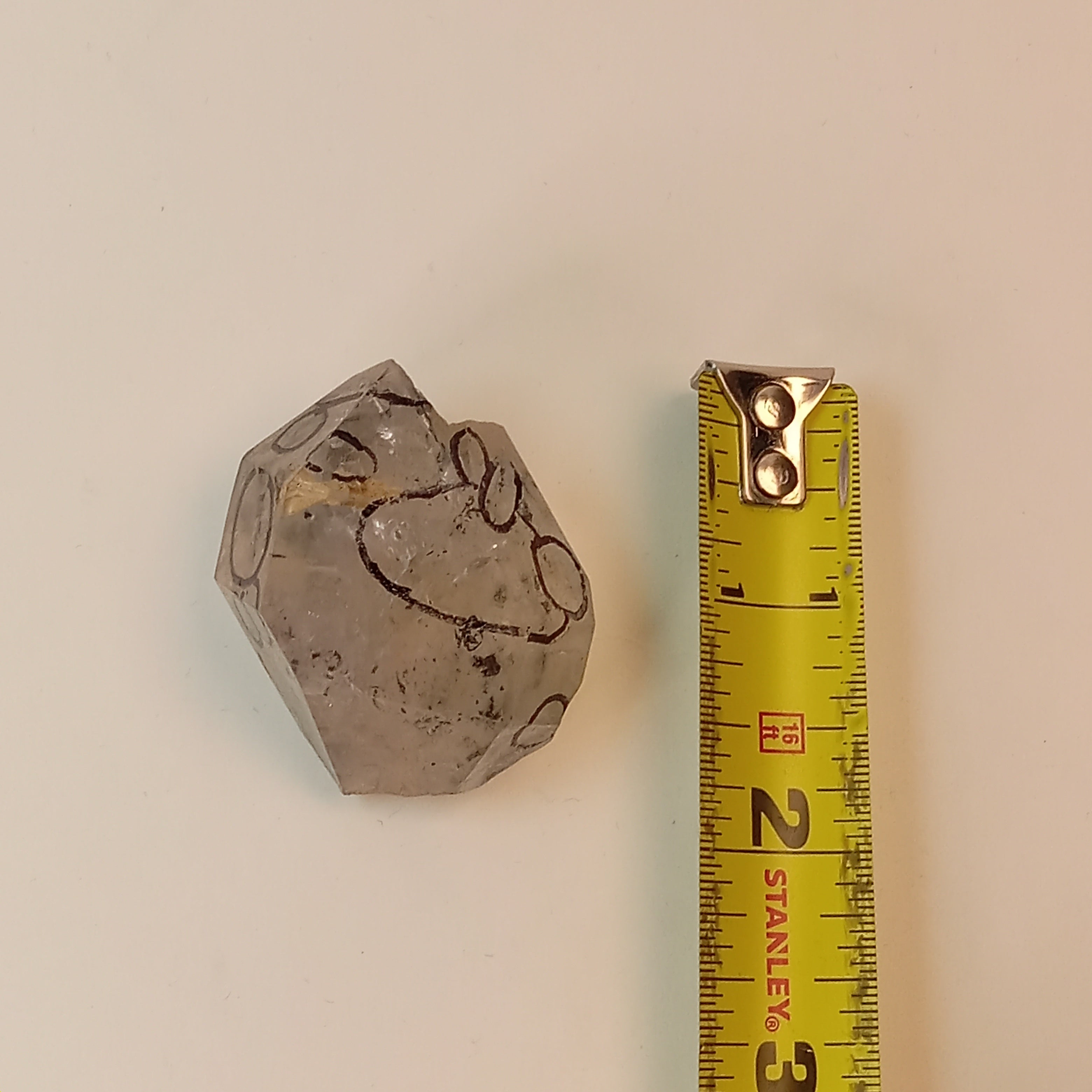Raw Enhydro Quartz Crystal with 11 Visible Moving Inclusions | Collector Enhydro Specimen