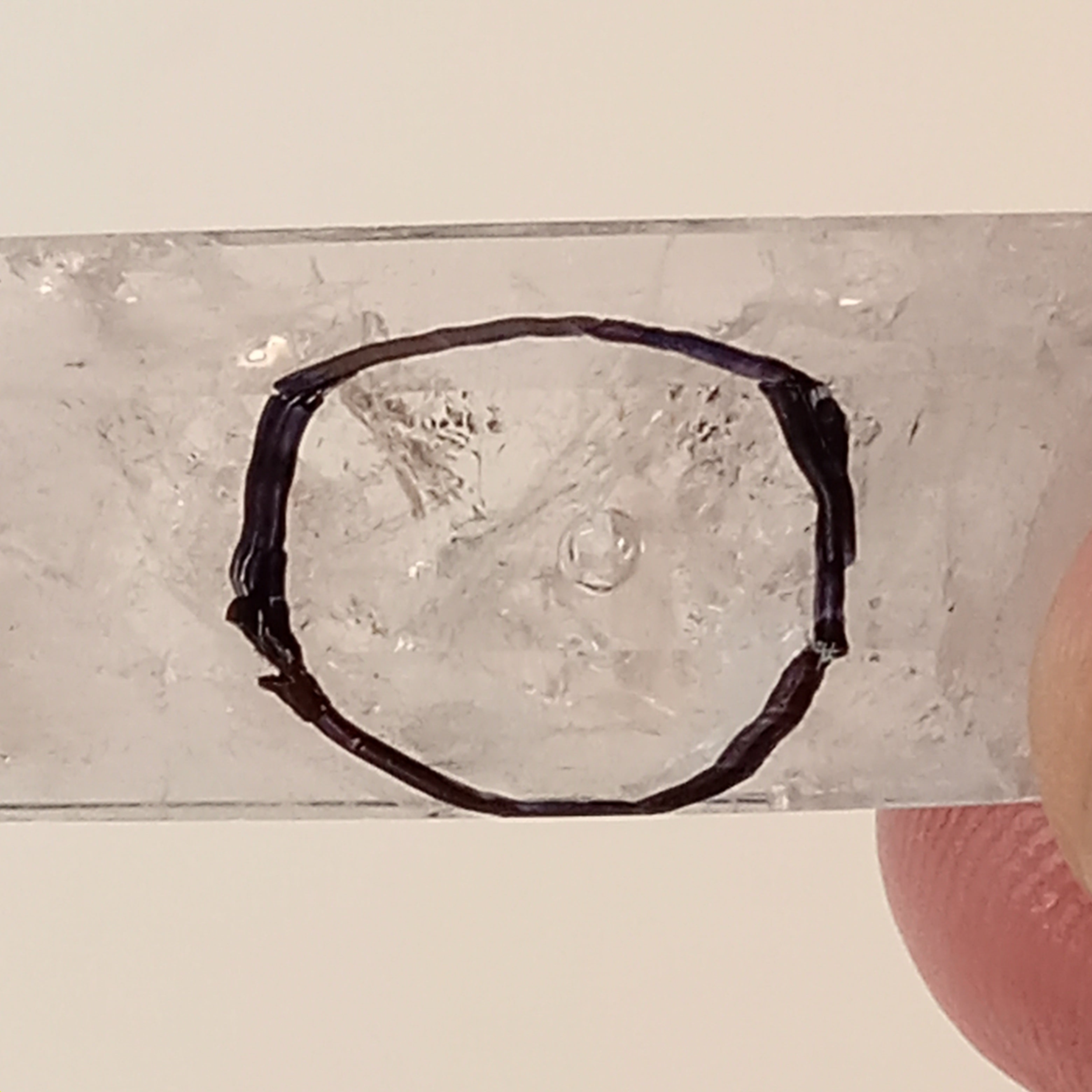 Enhydro Clear Quartz Crystal Point | Moving Bubble Quartz | Polished Collector Specimen