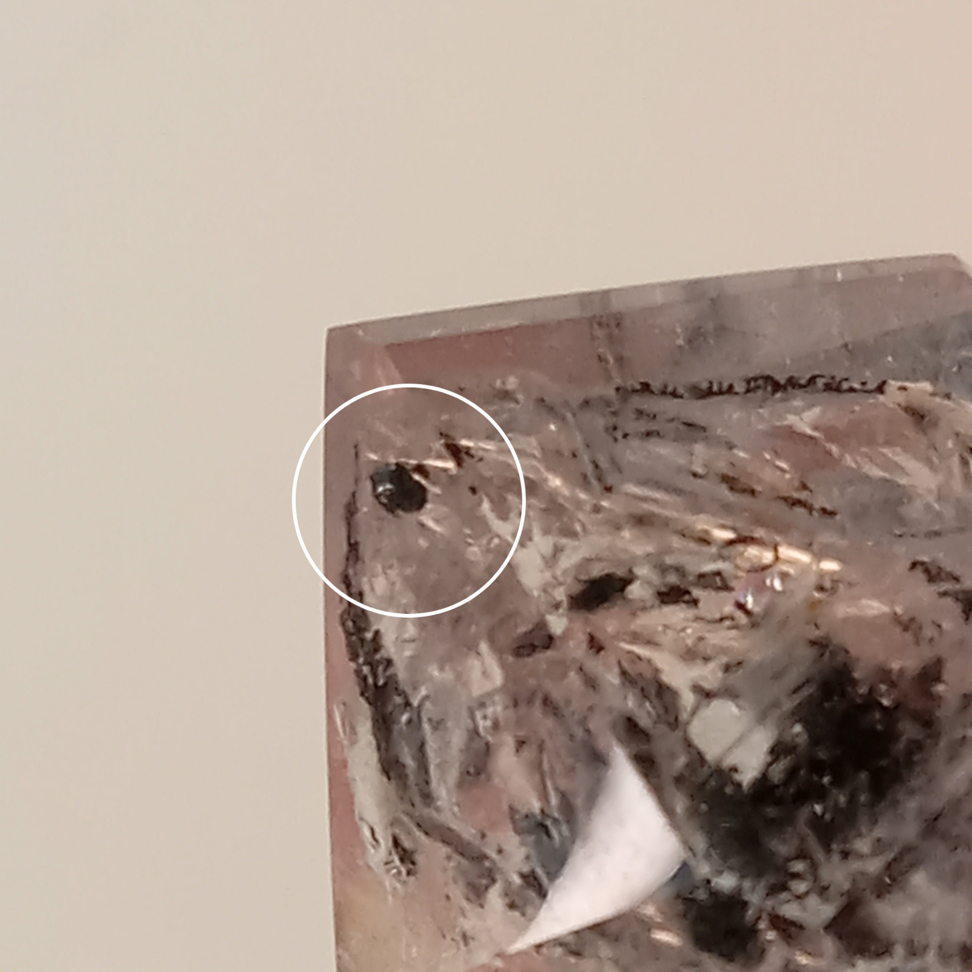 Enhydro Clear Quartz Freeform with Moving Carbon Bubble & Sand Inclusion | Polished Collector Crystal