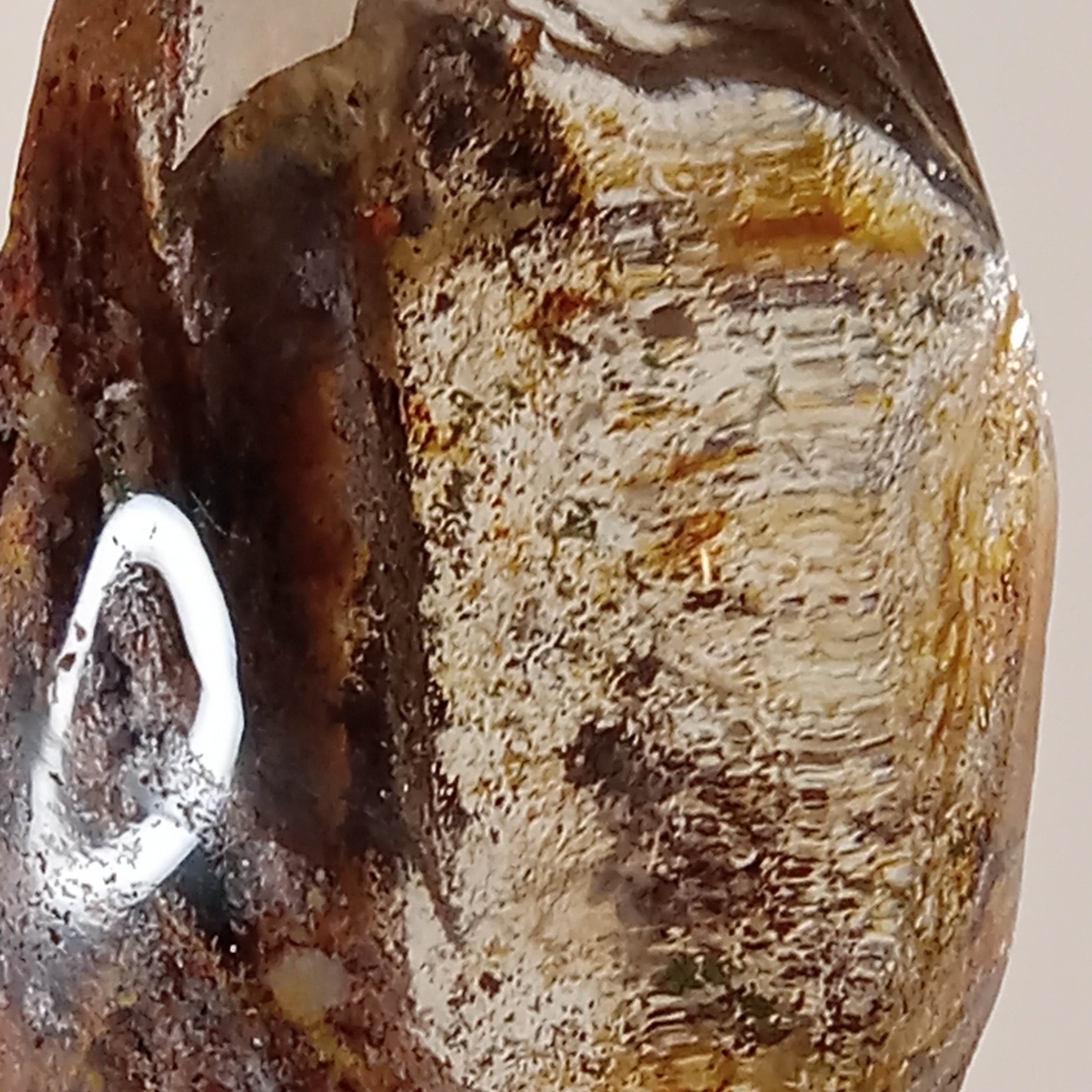 Garden Quartz Freeform with Golden Landscape Inclusions | Polished Collector Quartz Specimen | GQF-004