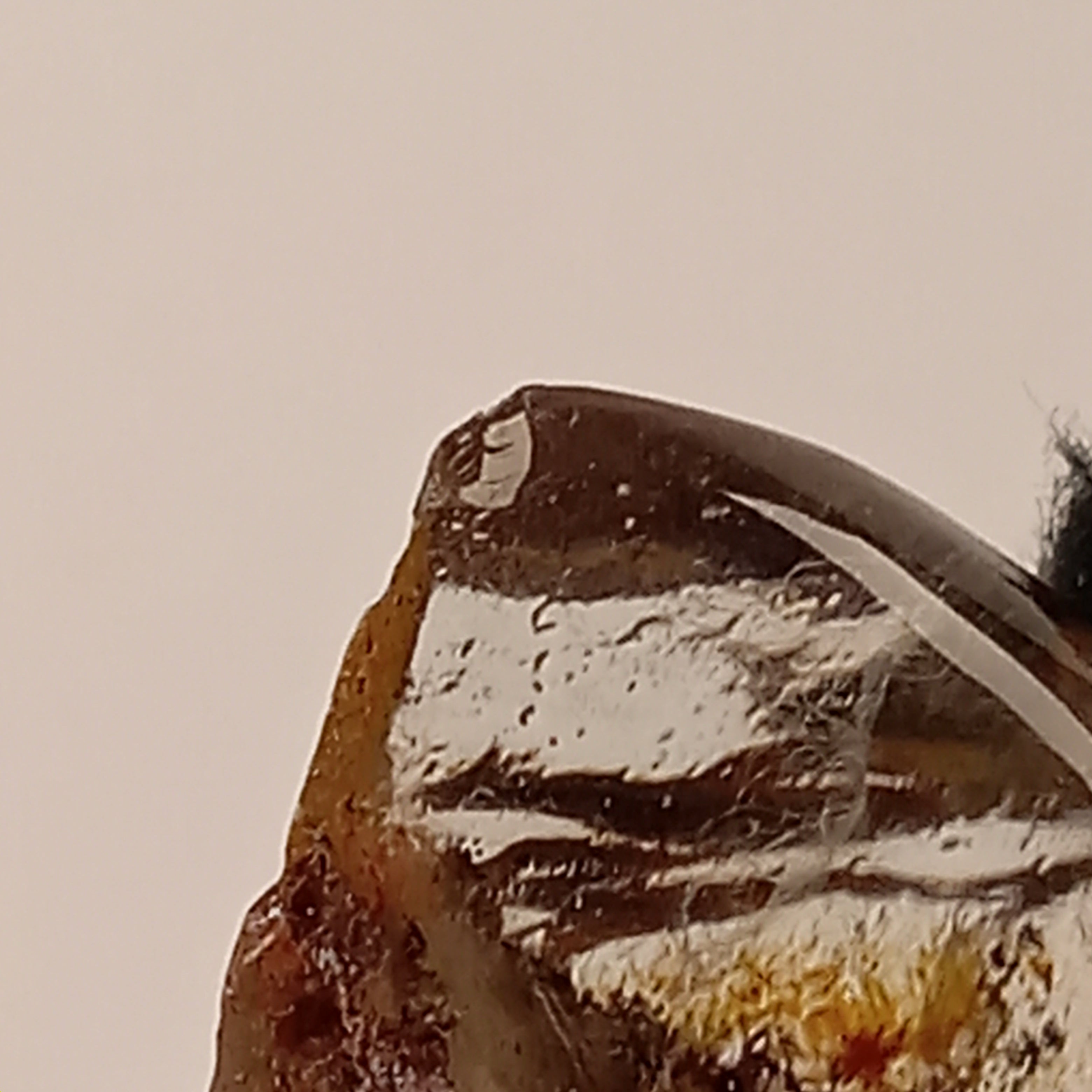 Garden Quartz Freeform with Golden Landscape Inclusions | Polished Collector Quartz Specimen | GQF-004