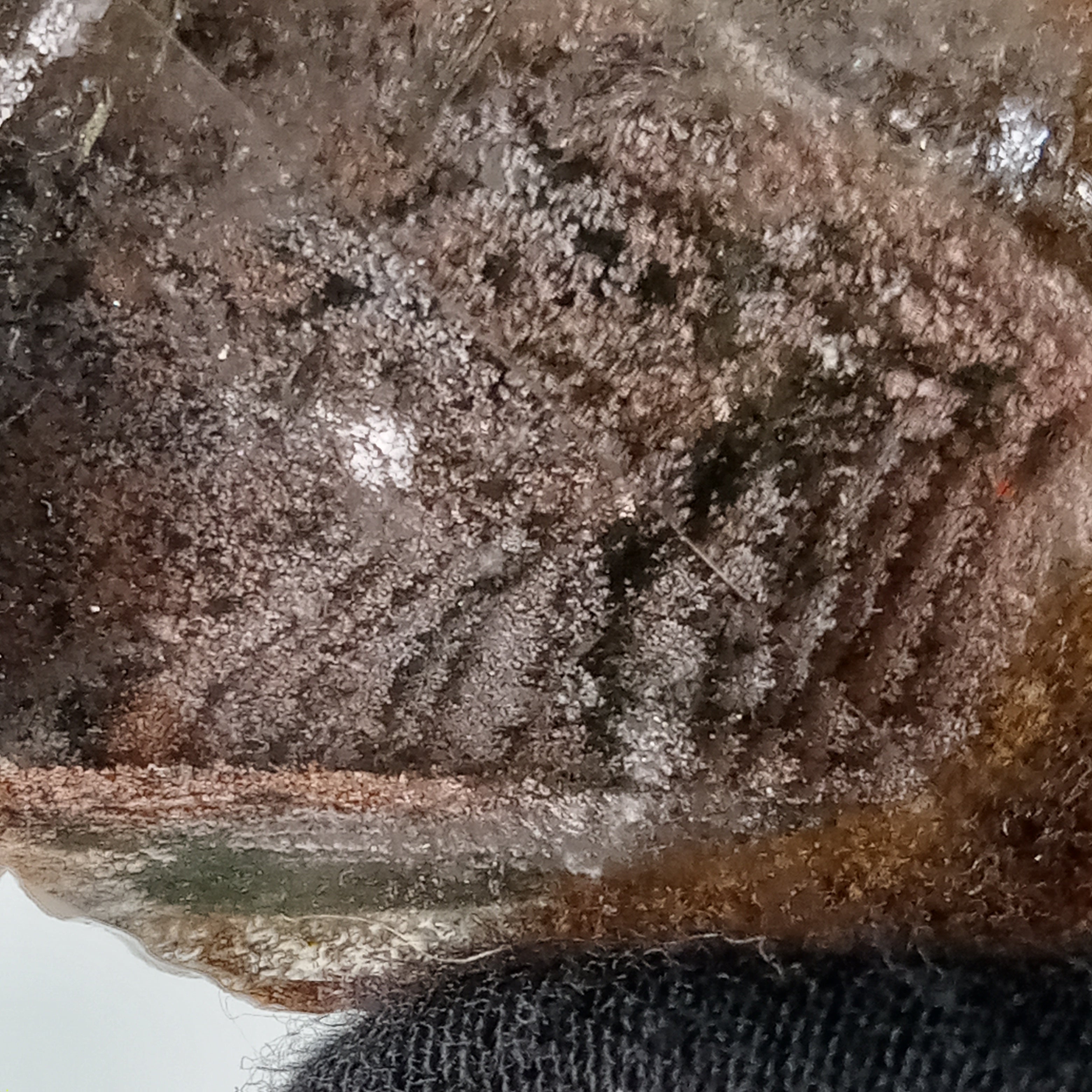 Garden Quartz Free Form with Phantom Terrace Formations | GQF-016