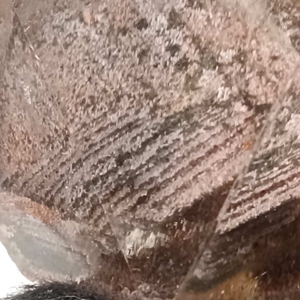 Garden Quartz Free Form with Phantom Terrace Formations | GQF-016