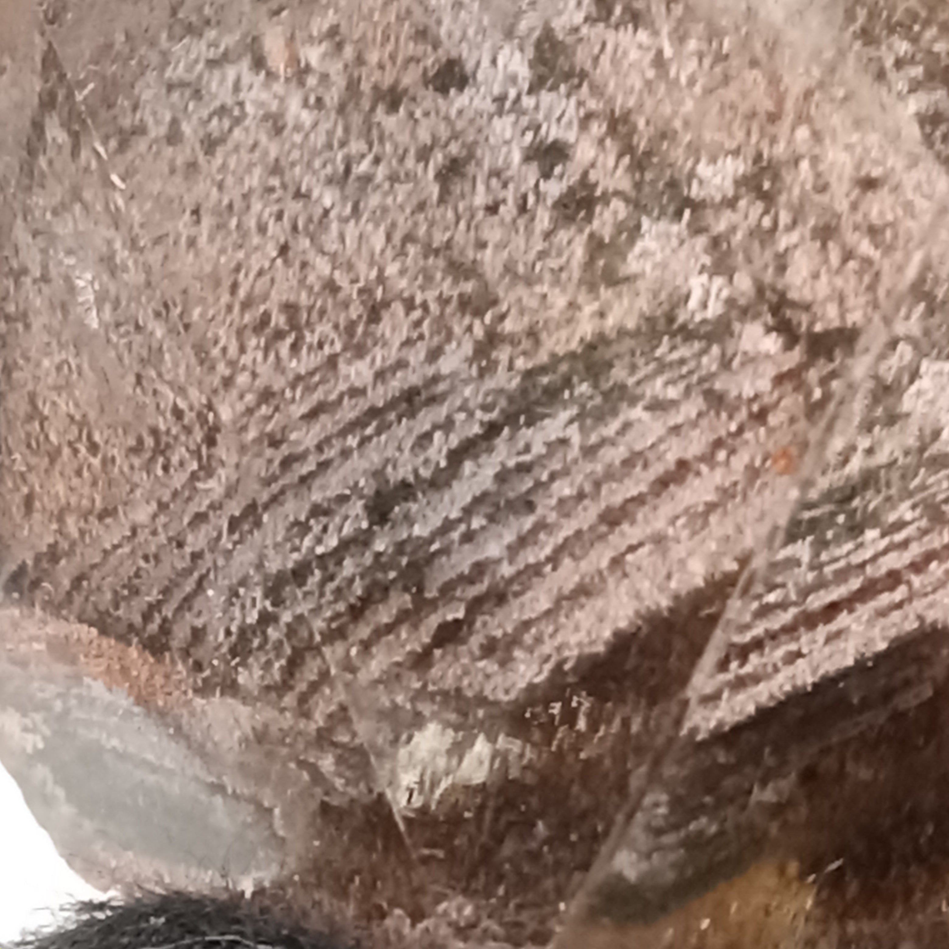Garden Quartz Free Form with Phantom Terrace Formations | GQF-016