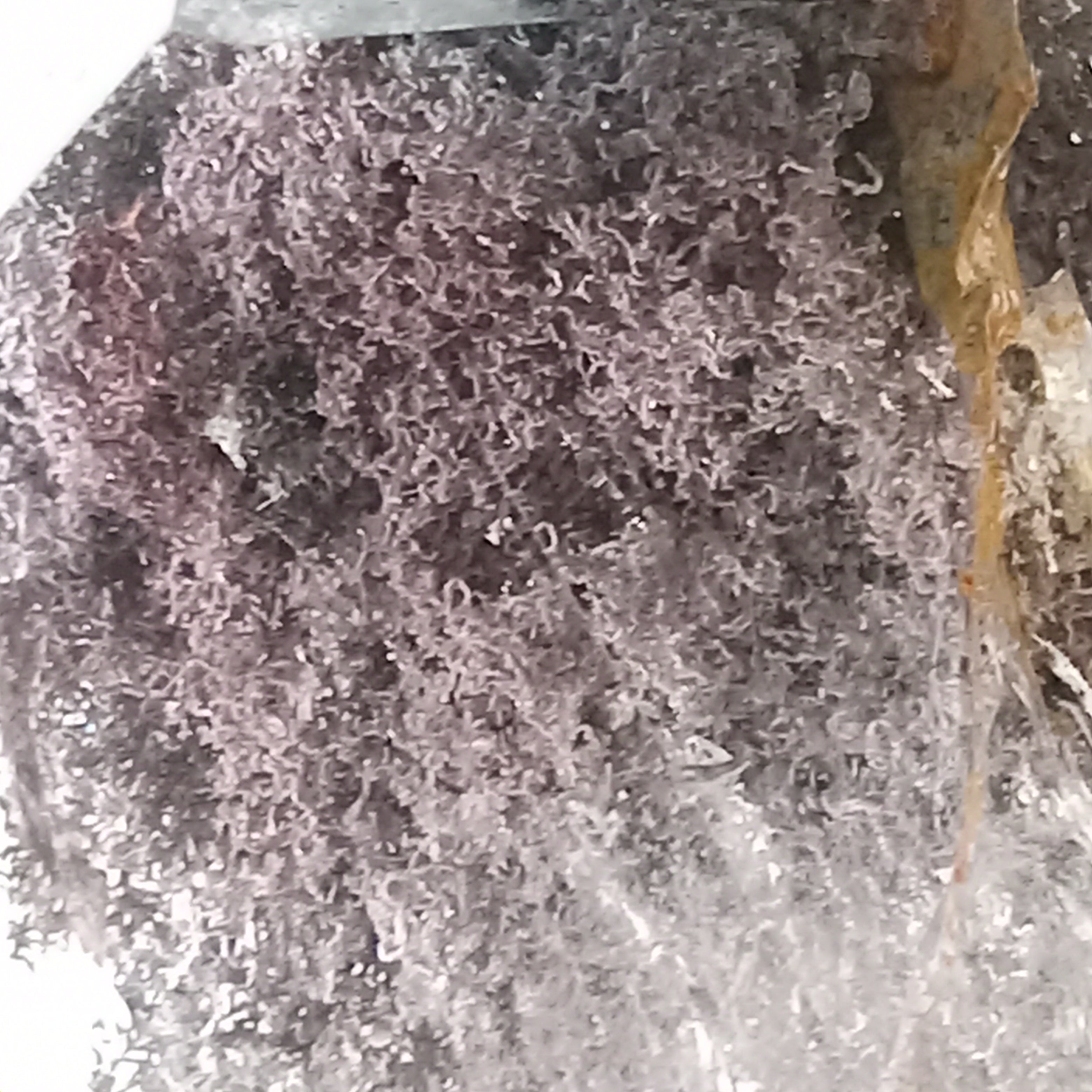 Garden Quartz Free Form with Suspended Purple Dendritic Canopy | GQF-024